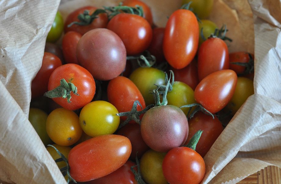 Tomates variados tipo cherry