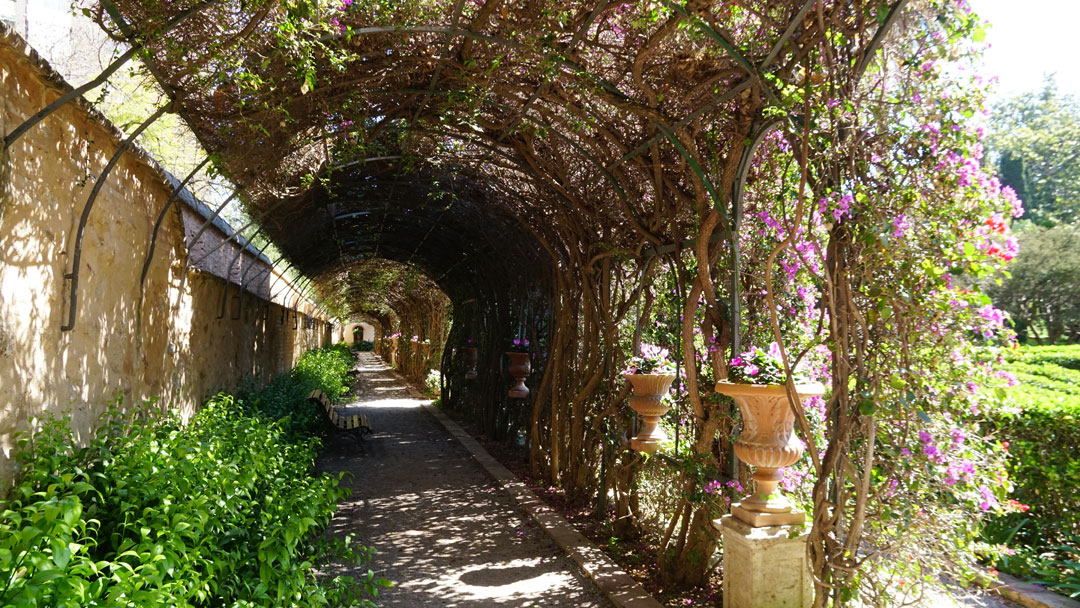 Pasaje con Bougainvilleas