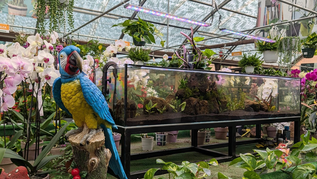 Acuario en Albogarden