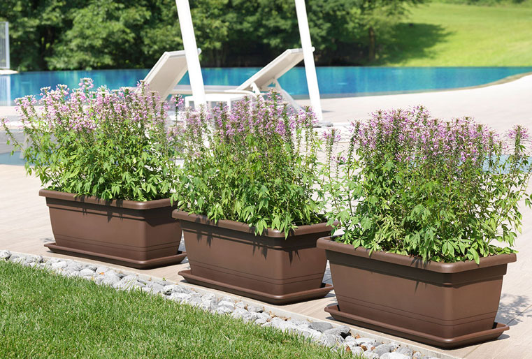 Jardinera Anthea en Albogarden