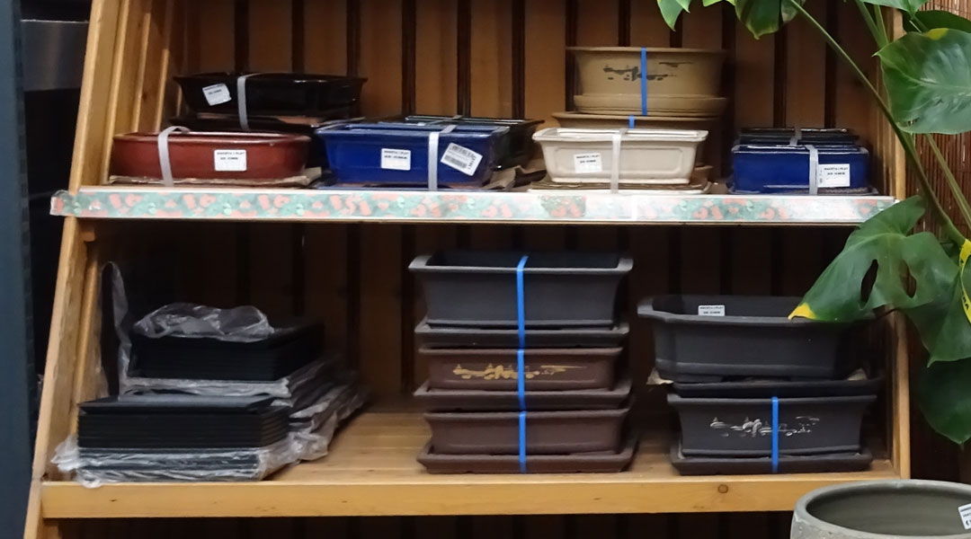 Bandejas para bonsai en Albogarden