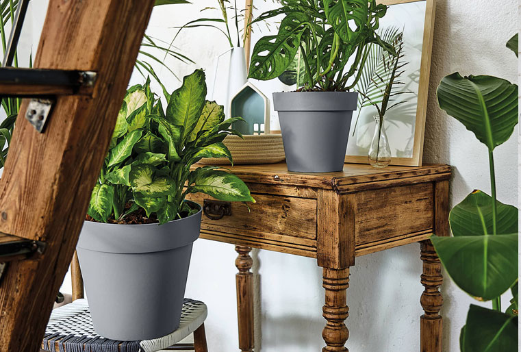 Maceta Cleo grande en Albogarden