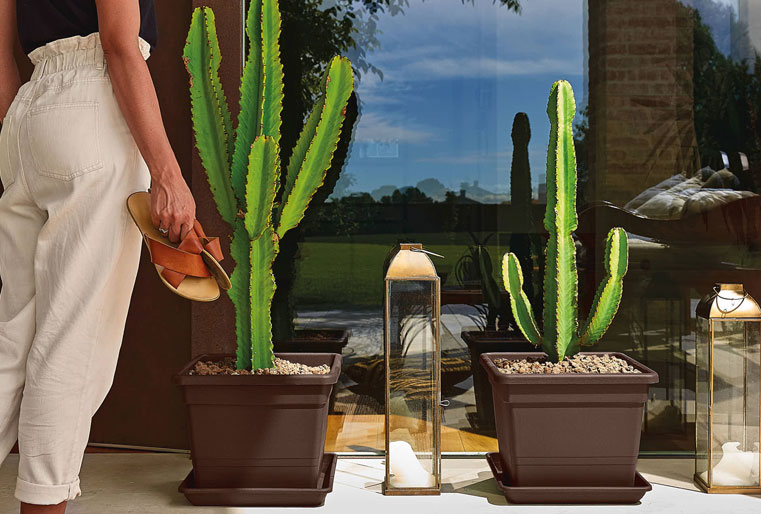 Cuadrado Cleo en color bronce