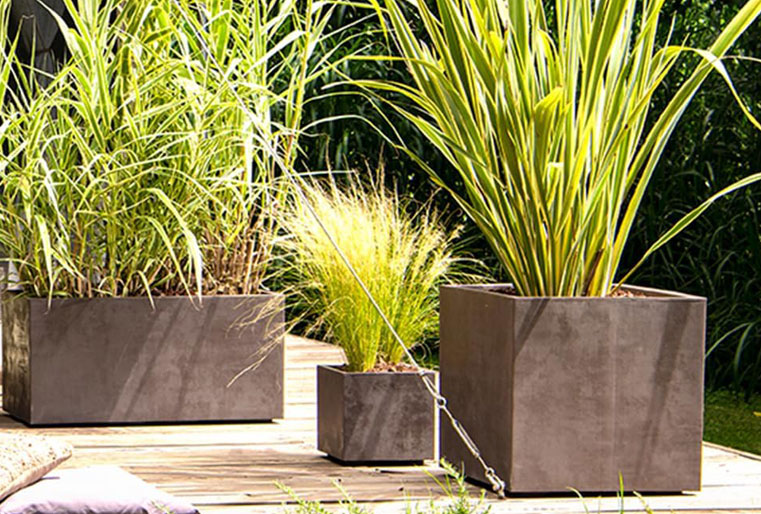 Cubo Millennium en Albogarden