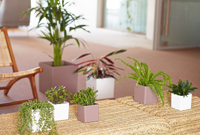 Cubo Oslo en Albogarden