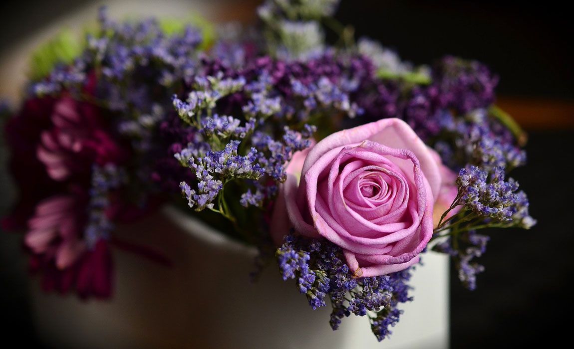 Flores y Plantas en el Día de los Enamorados
