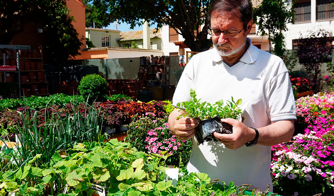 Fernando Cuenca con planteles hortícolas