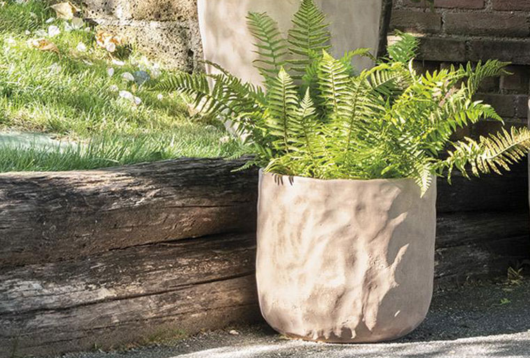 Vaso Fossil de Deroma-Fansa en Albogarden