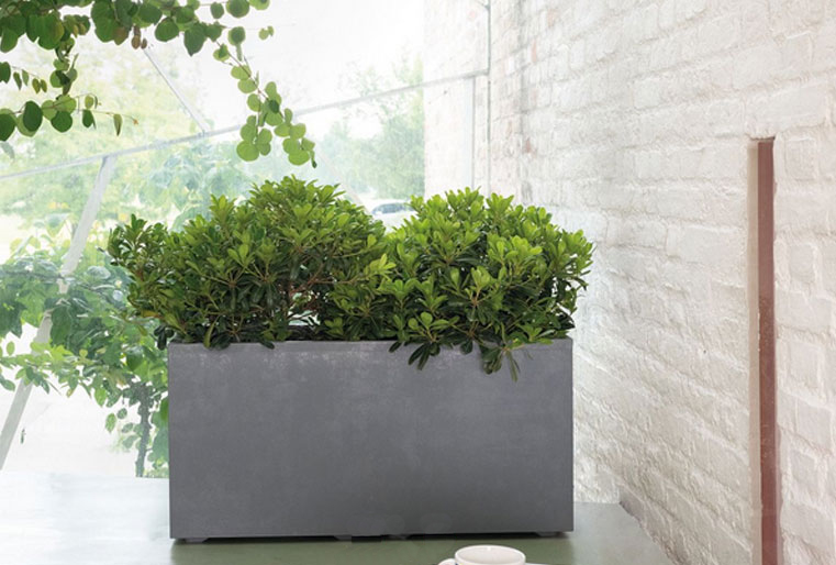 Jardinera Millennium en Albogarden