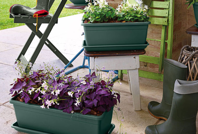 Jardinera Naxos en Albogarden