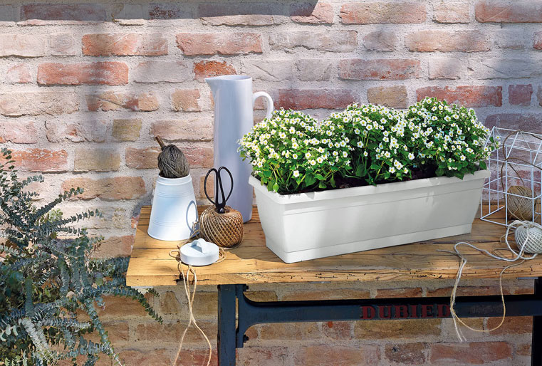 Jardinera Roxanne en Albogarden