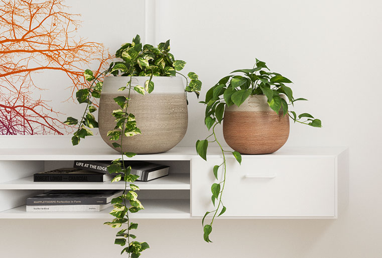 Maceta Antheia en Abogarden