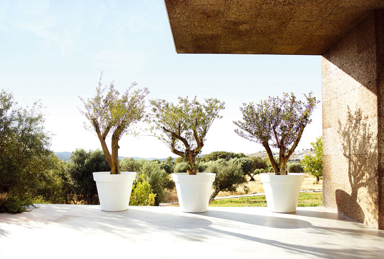 Maceta Capri gran capacidad en Albogarden