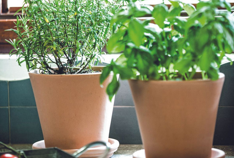 Vaso cono en barro blanco