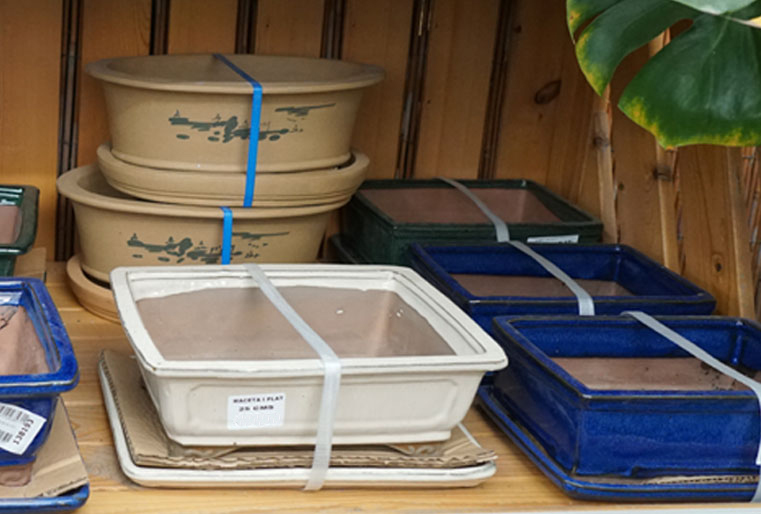 Macetas para bonsai en Albogarden