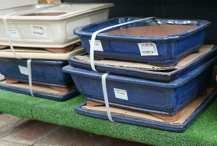 Macetas para bonsai en Albogarden
