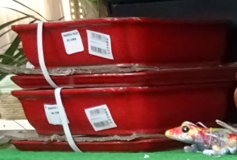 Macetas para bonsai en Albogarden