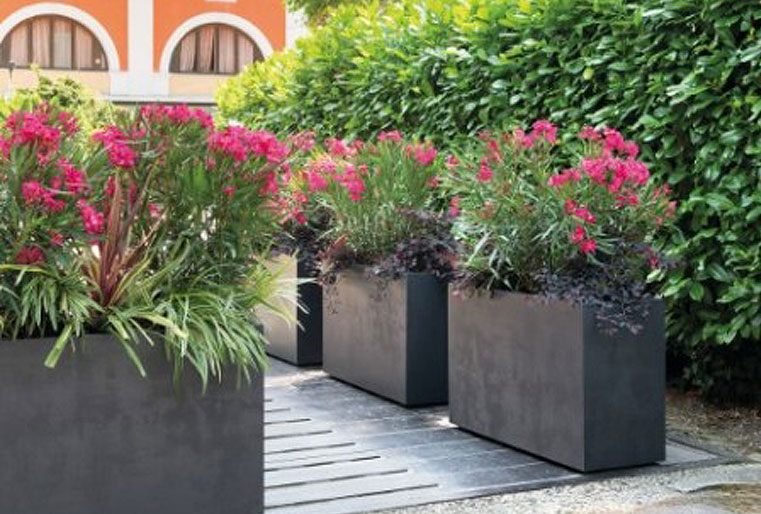 Muro Millennium en Albogarden