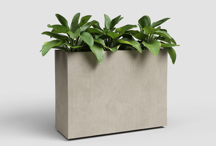 Muro Sydney perla en Albogarden