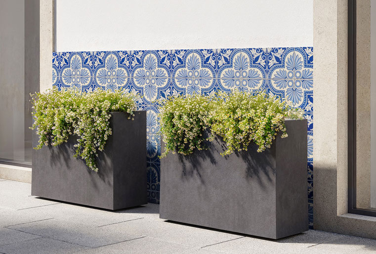 Muro Sydney en Albogarden