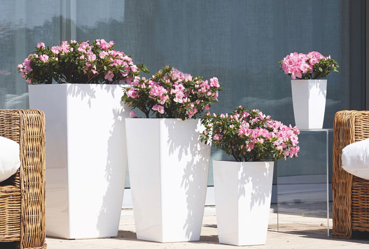 Maceta Pisa en Albogarden