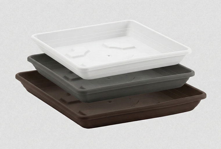 Platos Cuadrado Cleo