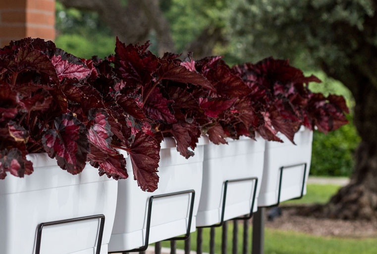 Soporte balconera Roxanne en Albogarden