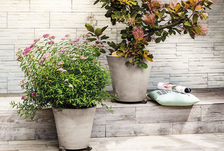 Vaso cónico barro grafitto