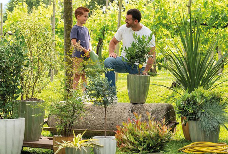 Vaso Elegancia en Albogarden