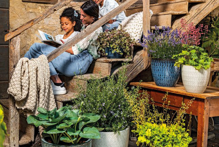 Vaso Woolly en Albogarden